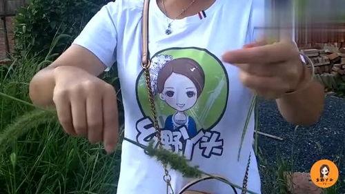 老公爆料秋子视频,真相背后引人深思  第1张